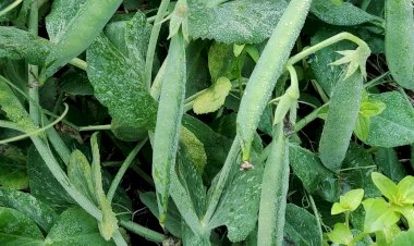 image_380x226_65acebe6047d6